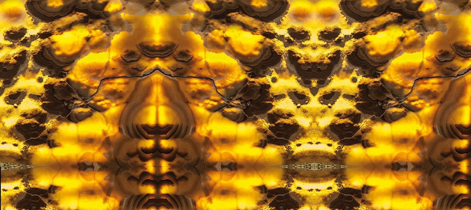 WhatsApp Image 2017 11 14 at 22.30.37