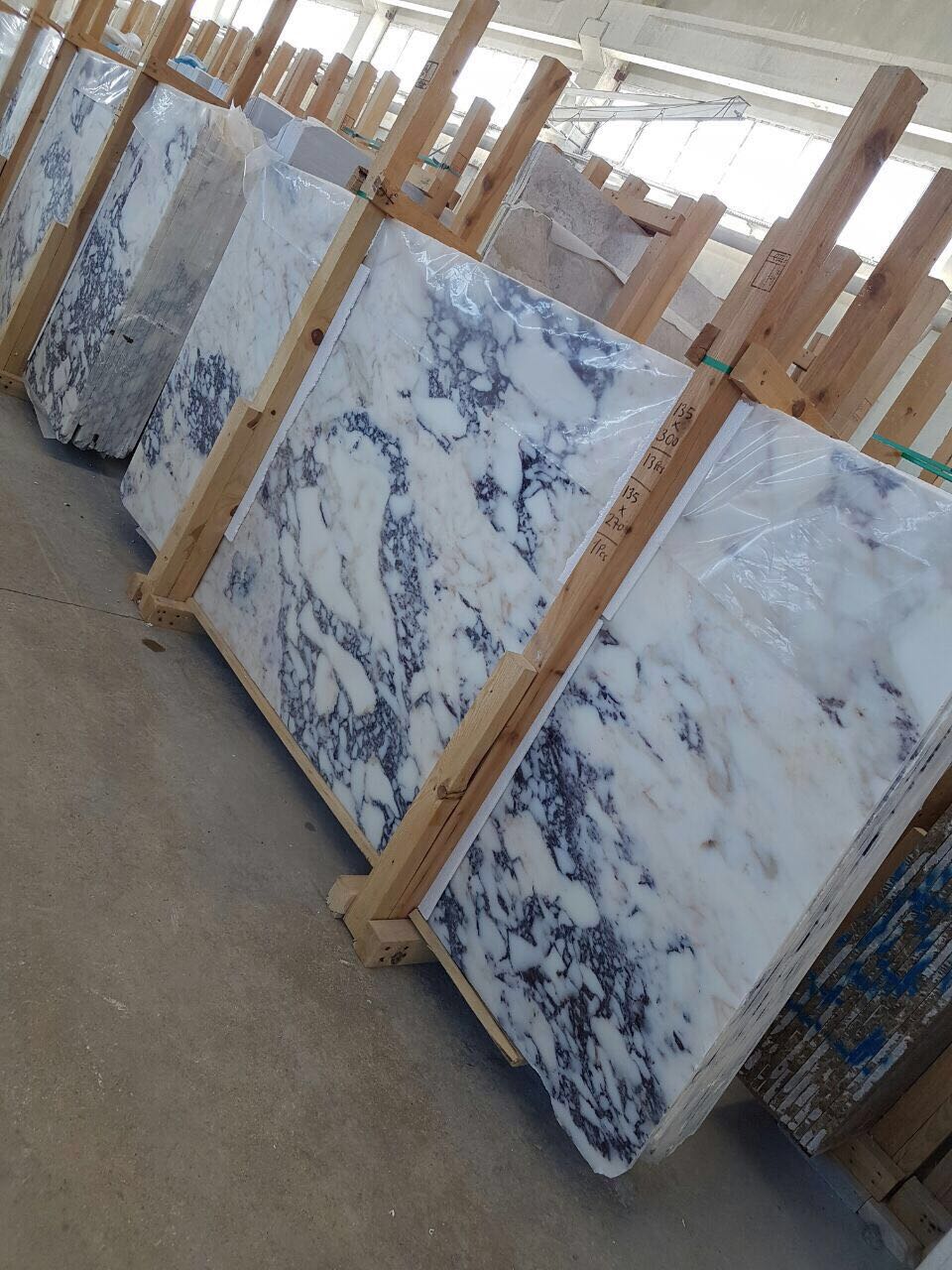 WhatsApp Image 2017 11 14 at 22.31.25 1