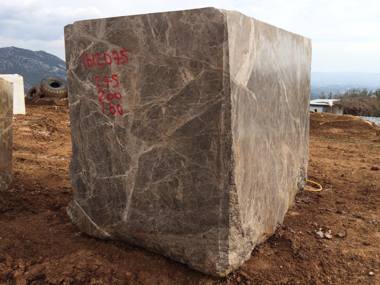 WhatsApp Image 2017 11 14 at 22.33.38