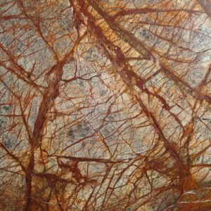 Rain Forest Brown